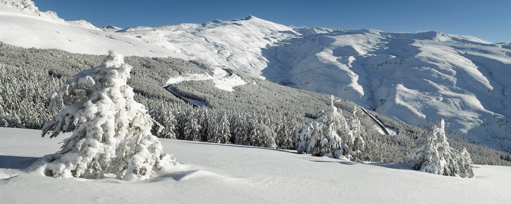 World Forest Day 2023 - How is the skiing world changing along with the climate?